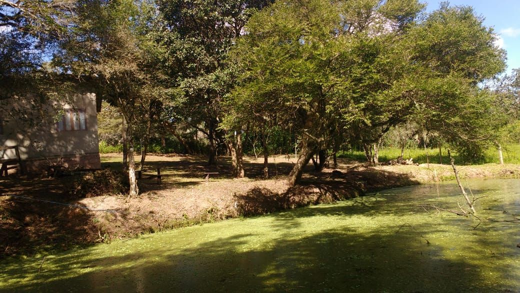 Sítio, 1 quarto, 3 hectares - Foto 14