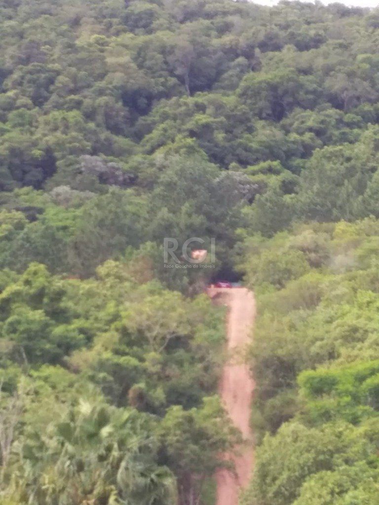 Terreno, 4 hectares - Foto 6