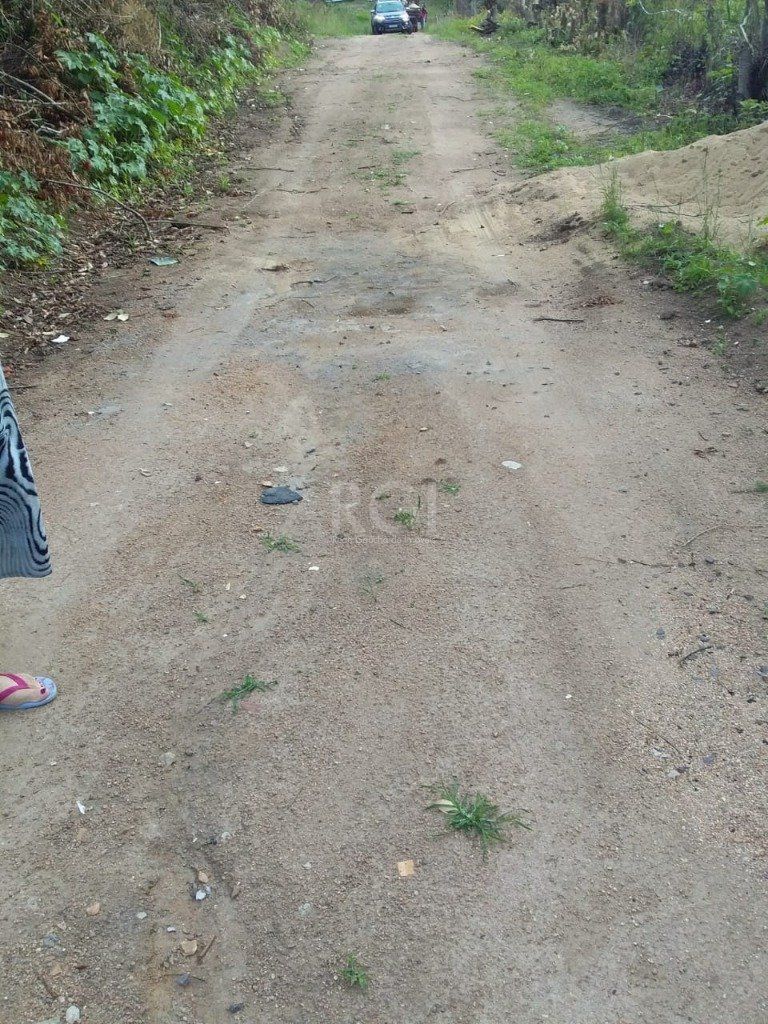 Terreno, 4 hectares - Foto 9