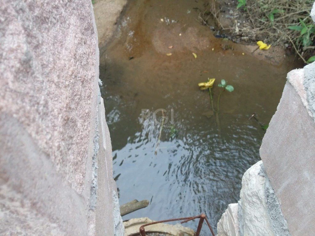 Terreno, 4 hectares - Foto 8