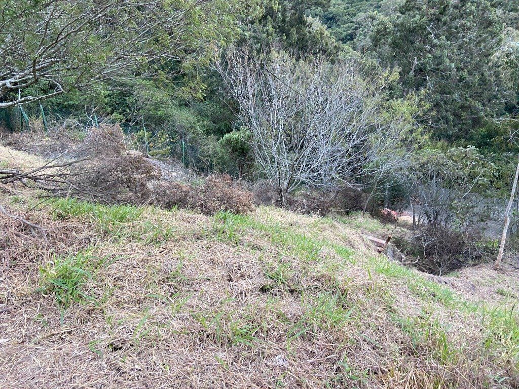 Terreno, 2313 m² - Foto 5