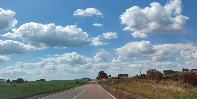 Terreno, 40 hectares - Foto 5