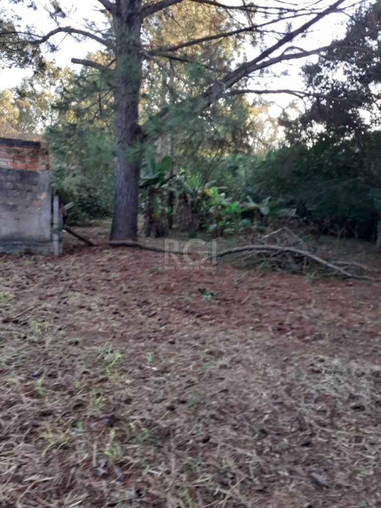 Terreno, 3150 m² - Foto 15