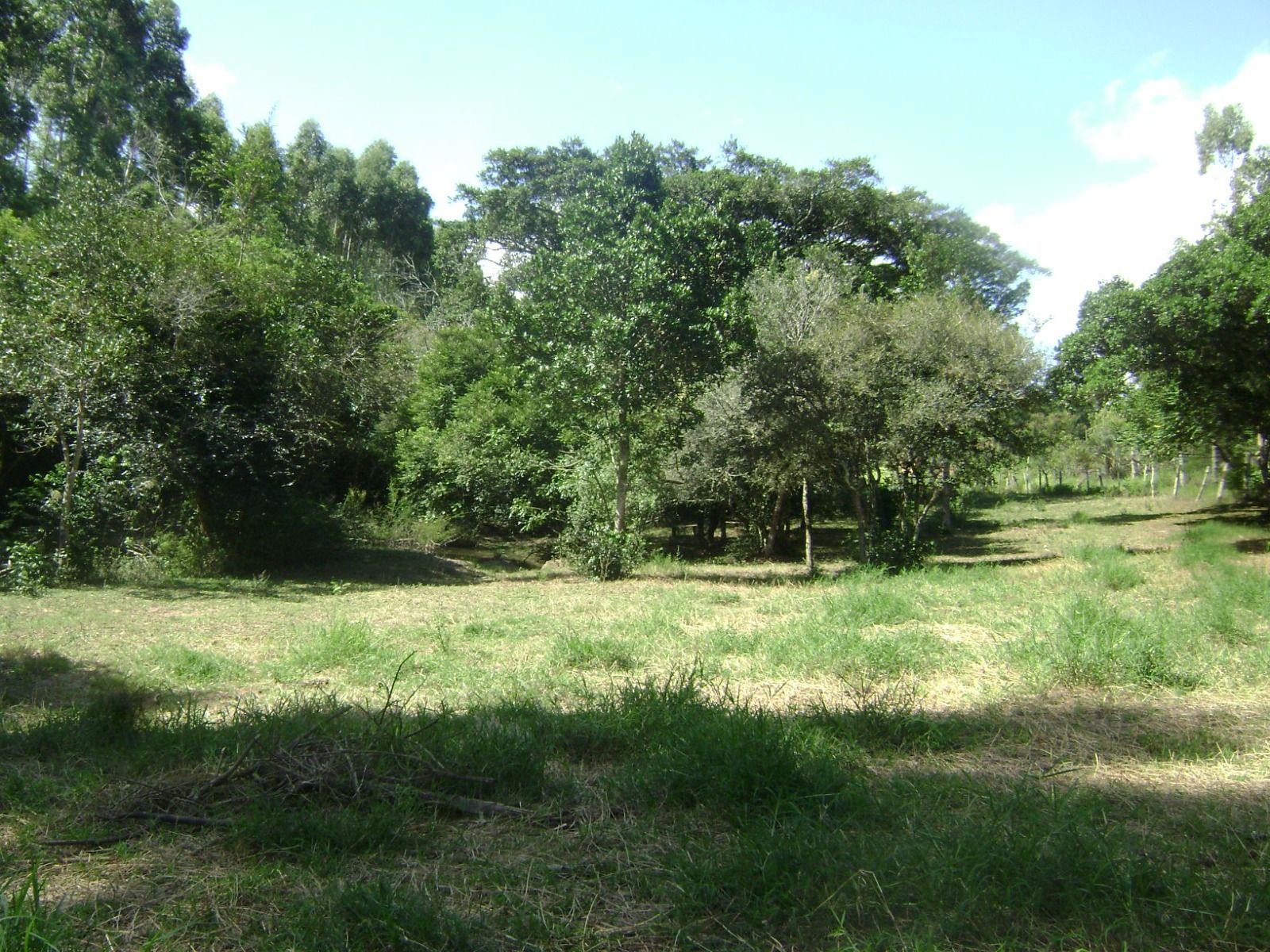 Sítio, 1 quarto, 3 hectares - Foto 39