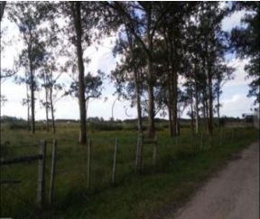 Terreno, 1 m² - Foto 6