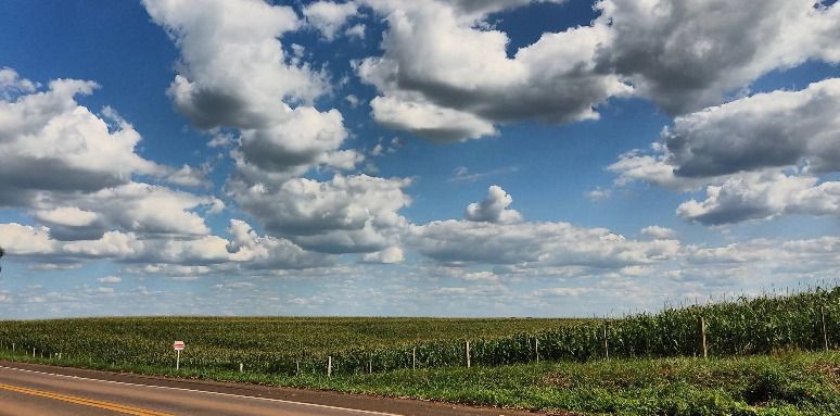 Terreno, 40 hectares - Foto 3