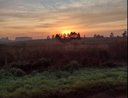 Terreno, 40 hectares - Foto 2