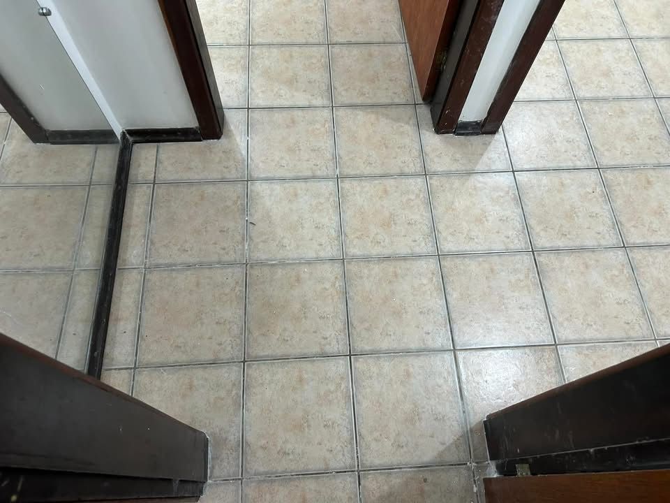 Apartamento à venda com 3 quartos, 54m² - Foto 8