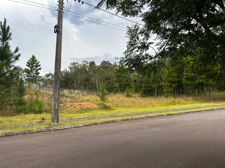 Terreno, 1001 m² - Foto 2