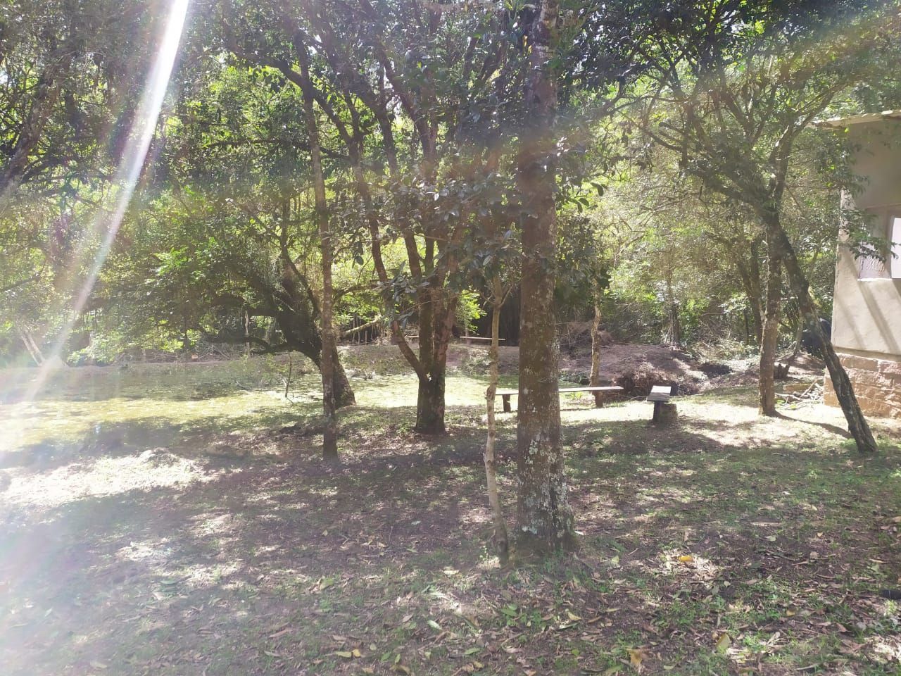 Sítio, 1 quarto, 3 hectares - Foto 37