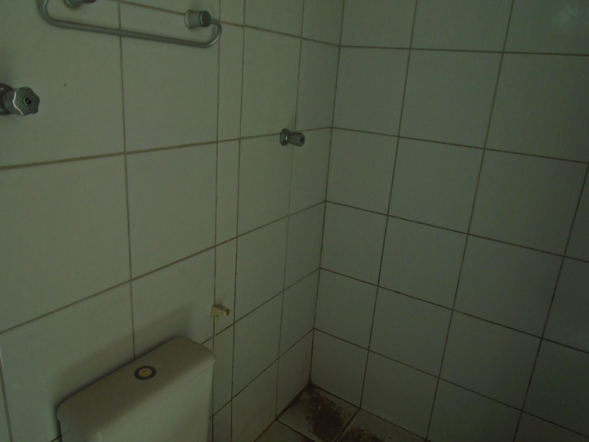 Casa, 4 quartos, 393 m² - Foto 56