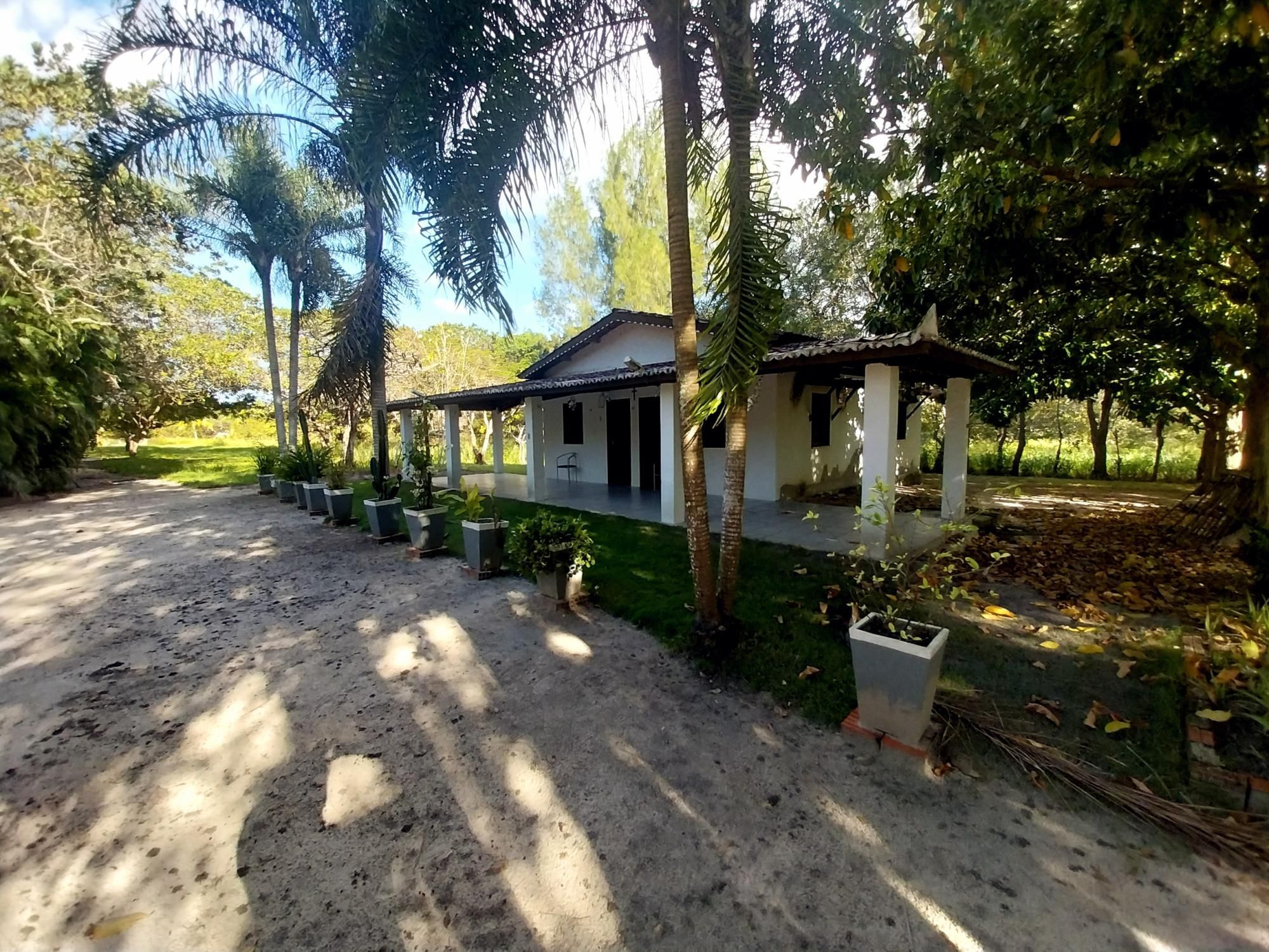 Sítio, 5 quartos, 6 hectares - Foto 16