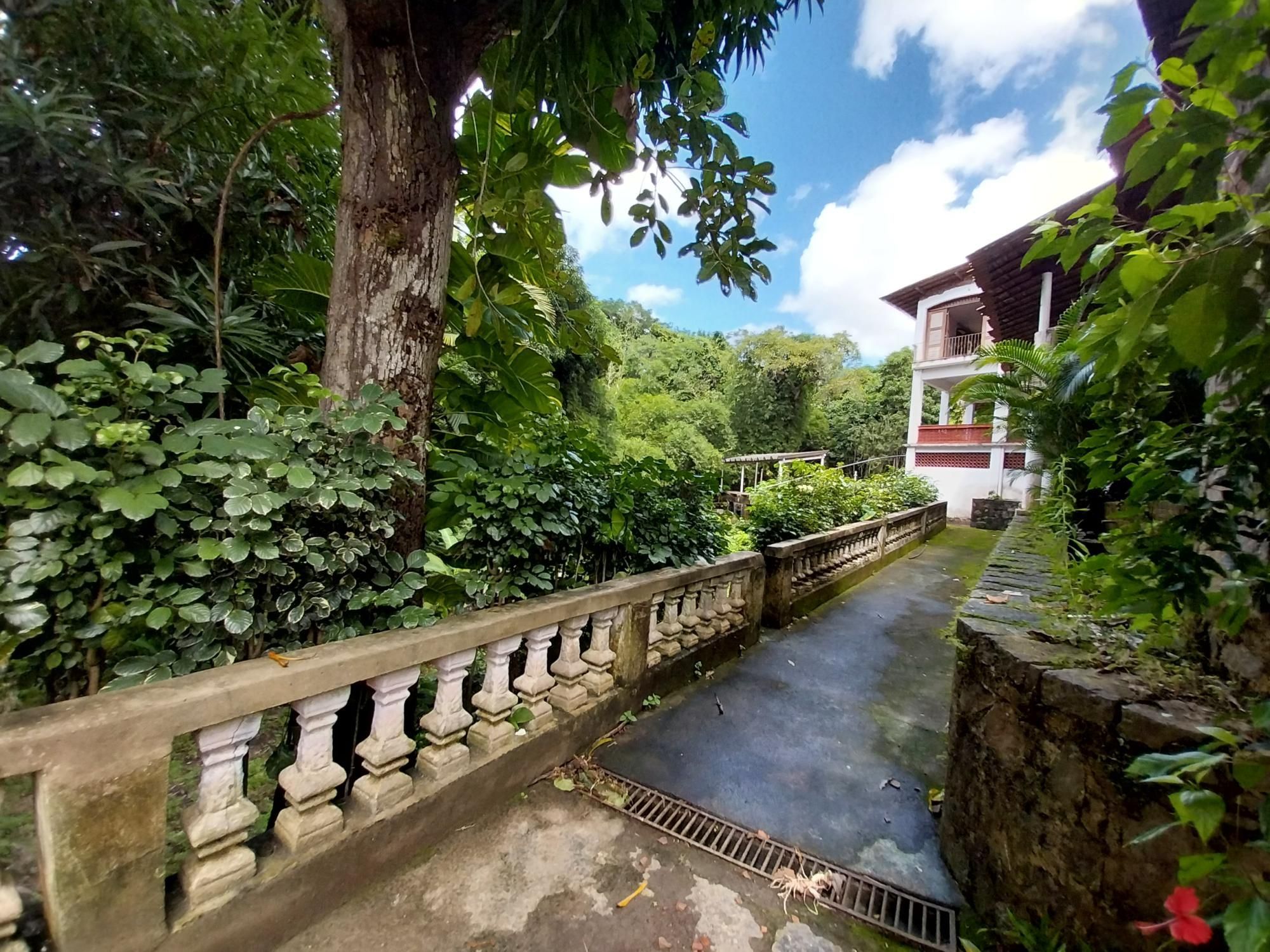 Terreno, 2 hectares - Foto 11