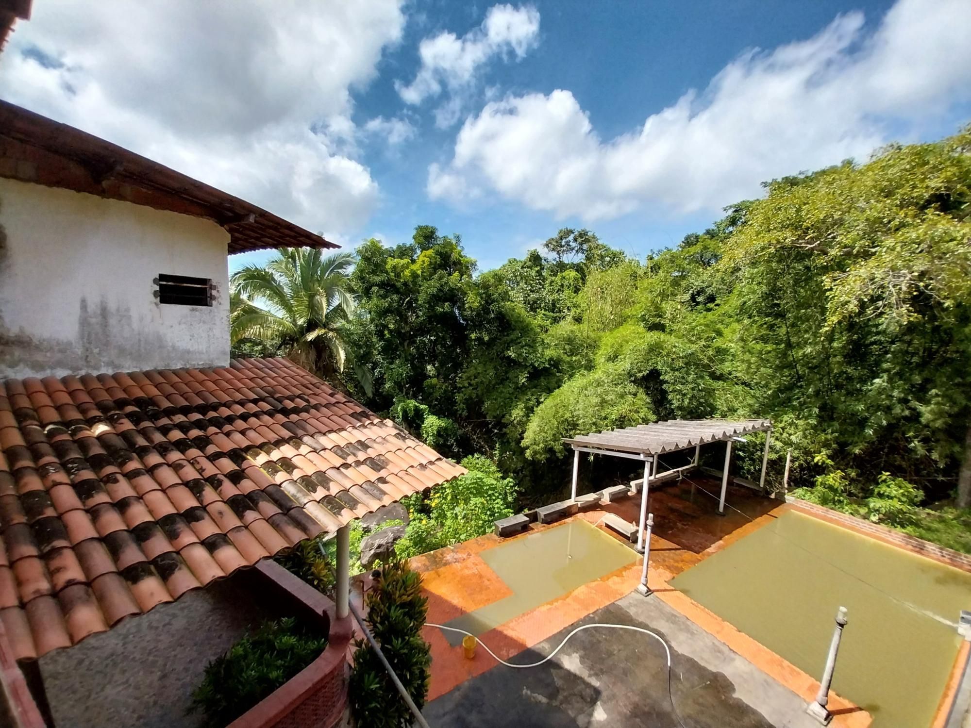 Terreno, 2 hectares - Foto 50