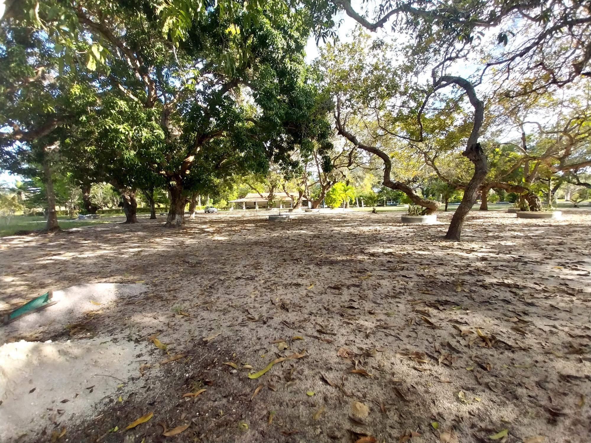 Sítio, 5 quartos, 6 hectares - Foto 38