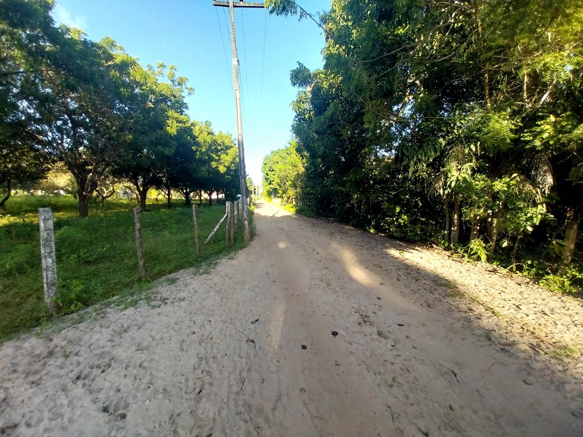 Terreno, 5 hectares - Foto 8