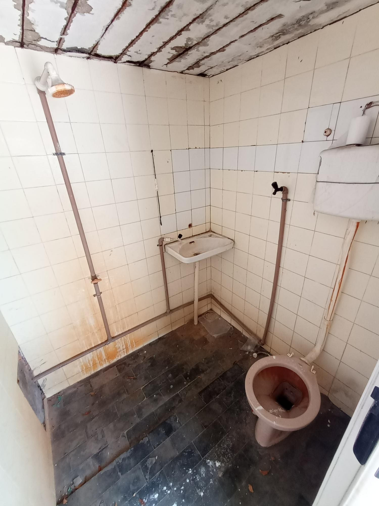 Casa, 4 quartos, 462 m² - Foto 25