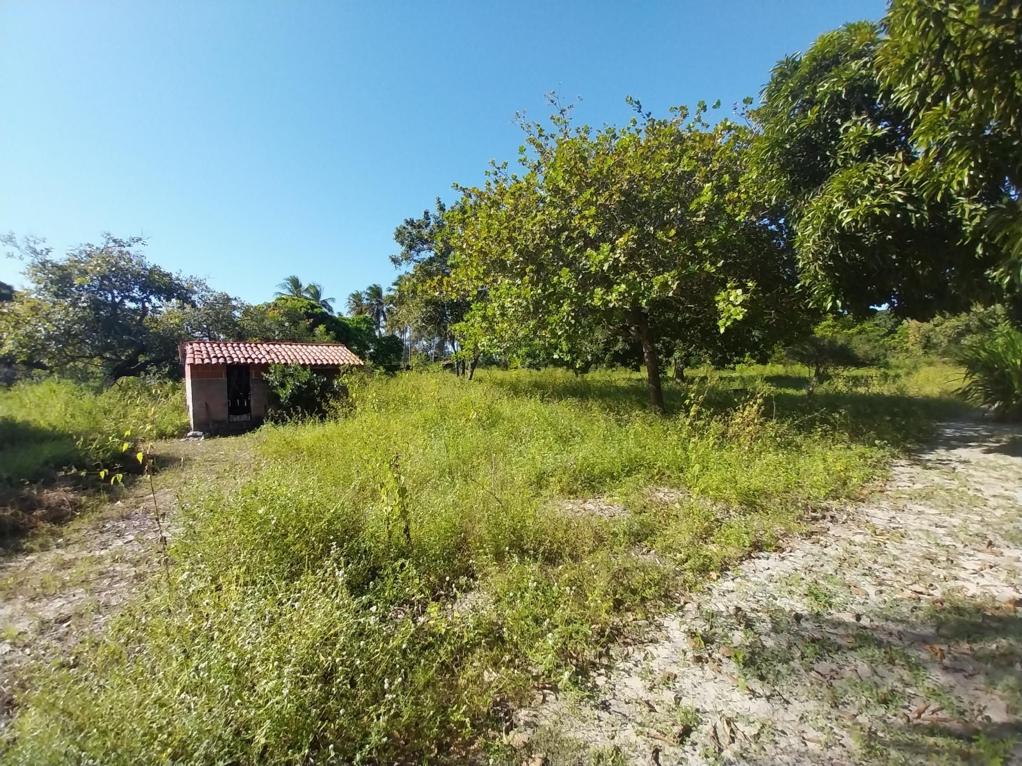 Terreno à venda, 20000m² - Foto 8