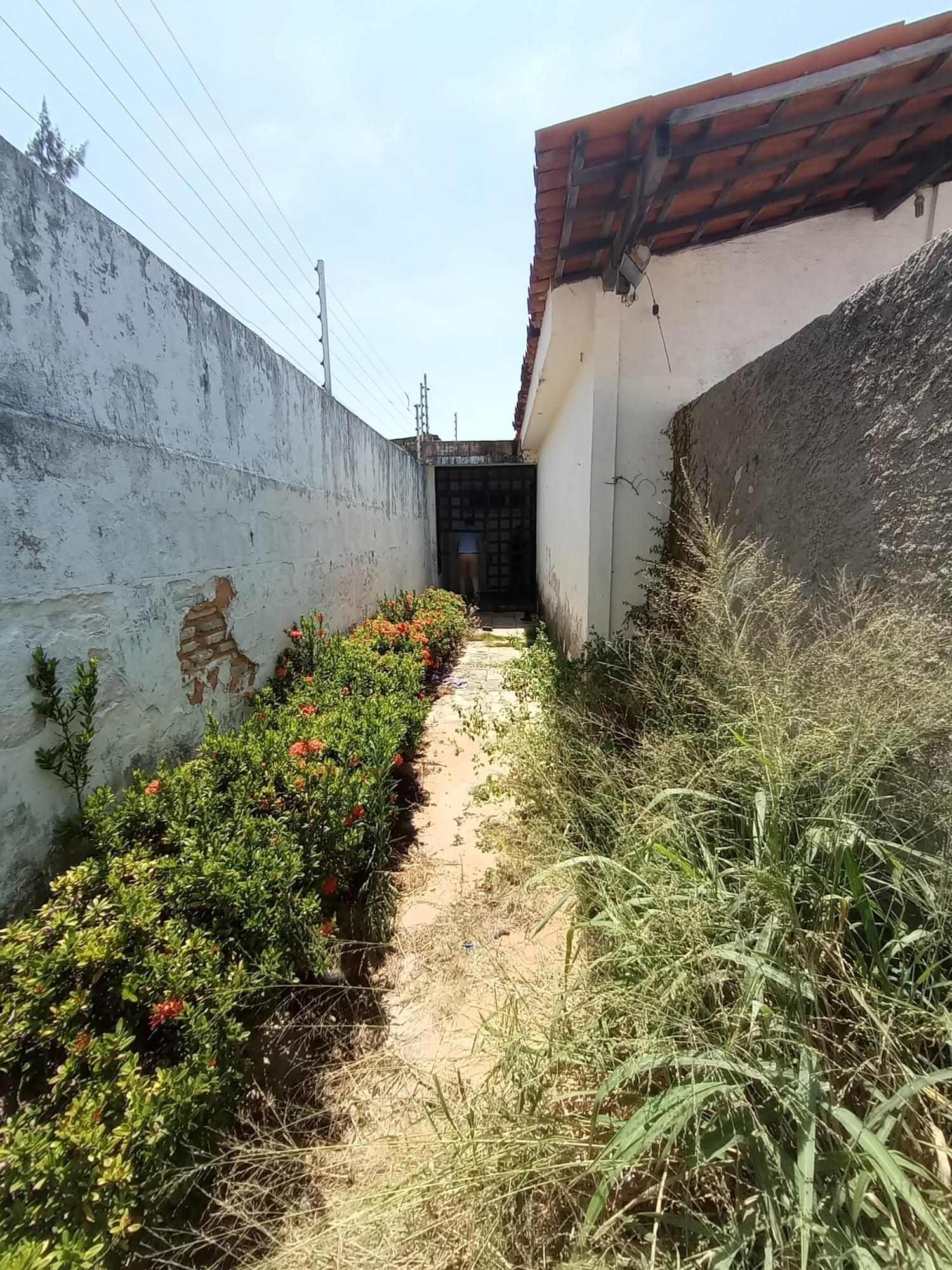 Casa, 4 quartos, 462 m² - Foto 17