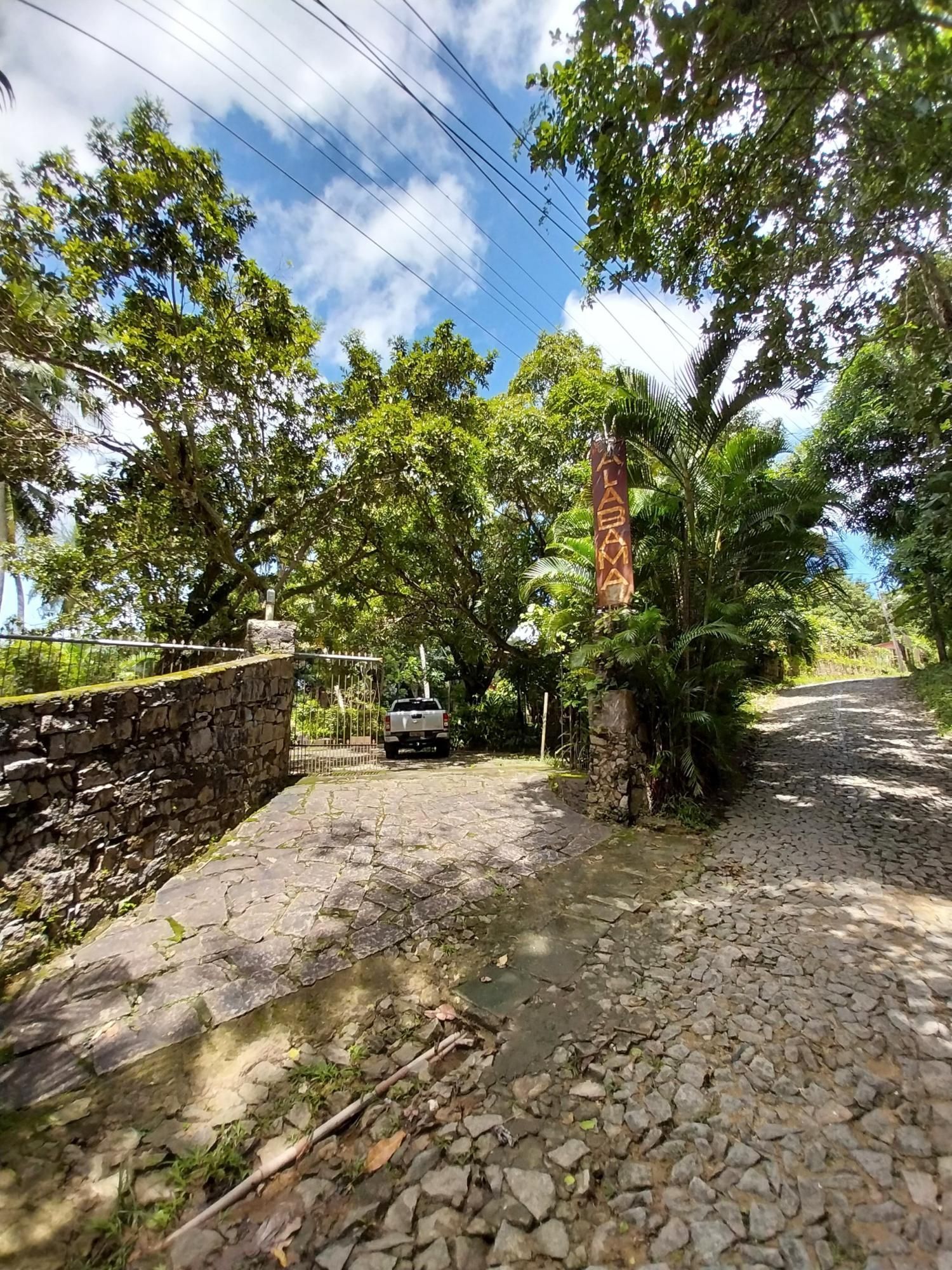 Terreno, 2 hectares - Foto 3