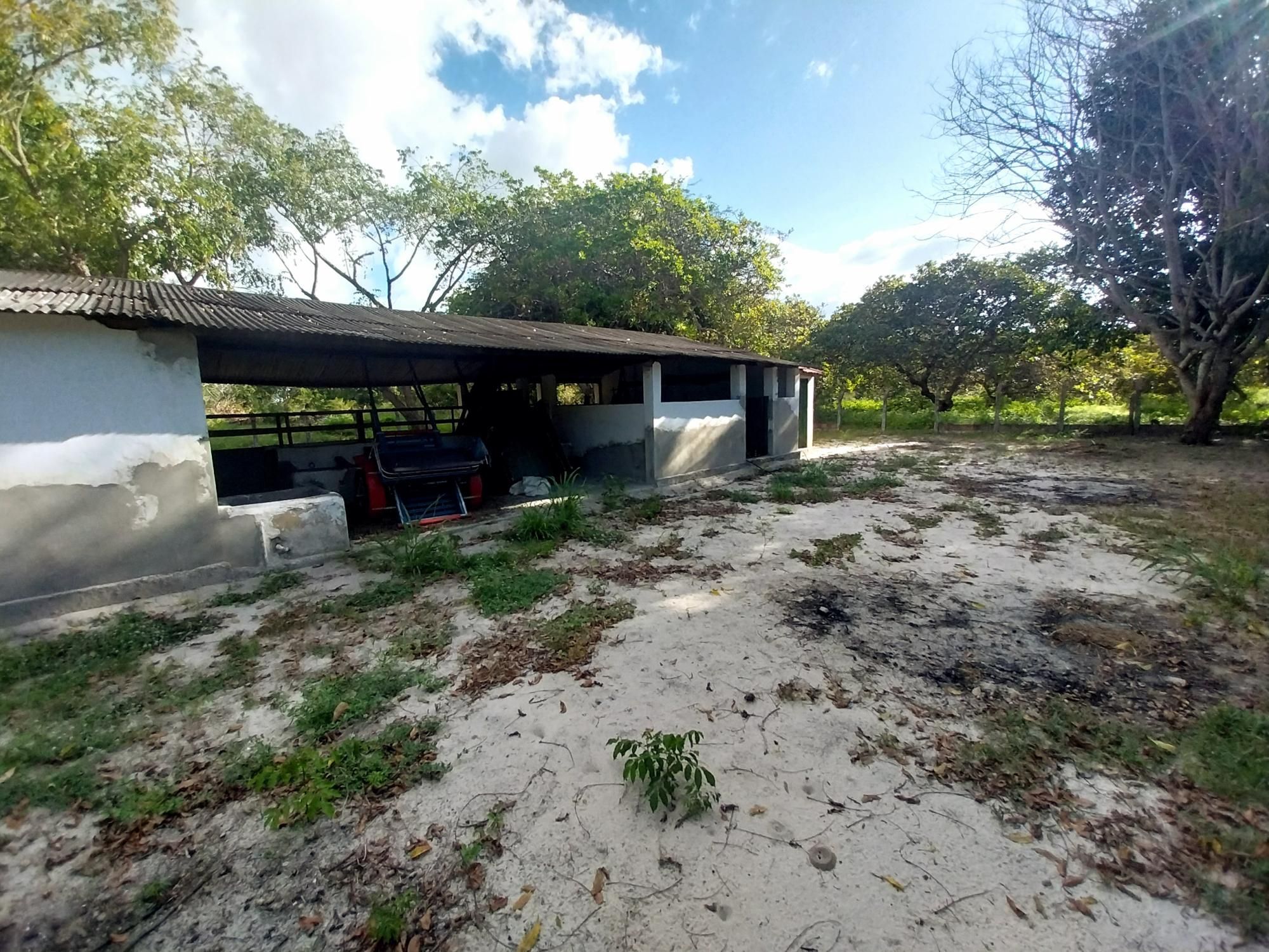 Sítio, 5 quartos, 6 hectares - Foto 35