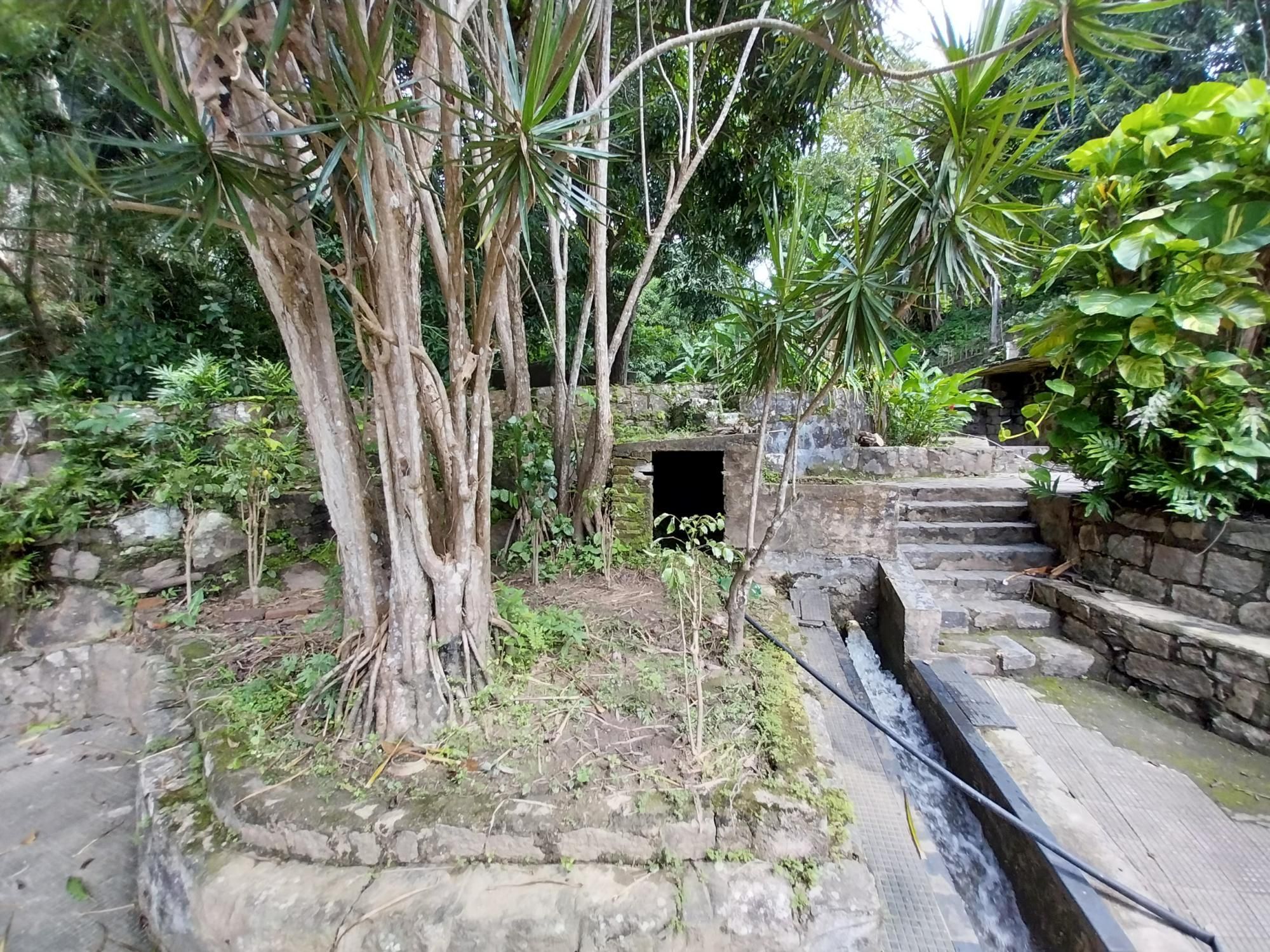 Terreno, 2 hectares - Foto 23