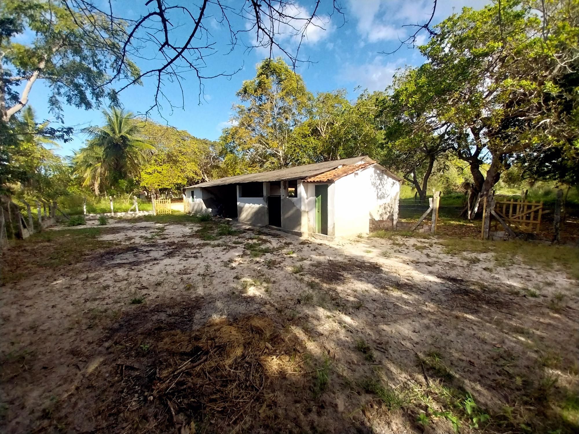 Sítio, 5 quartos, 6 hectares - Foto 37