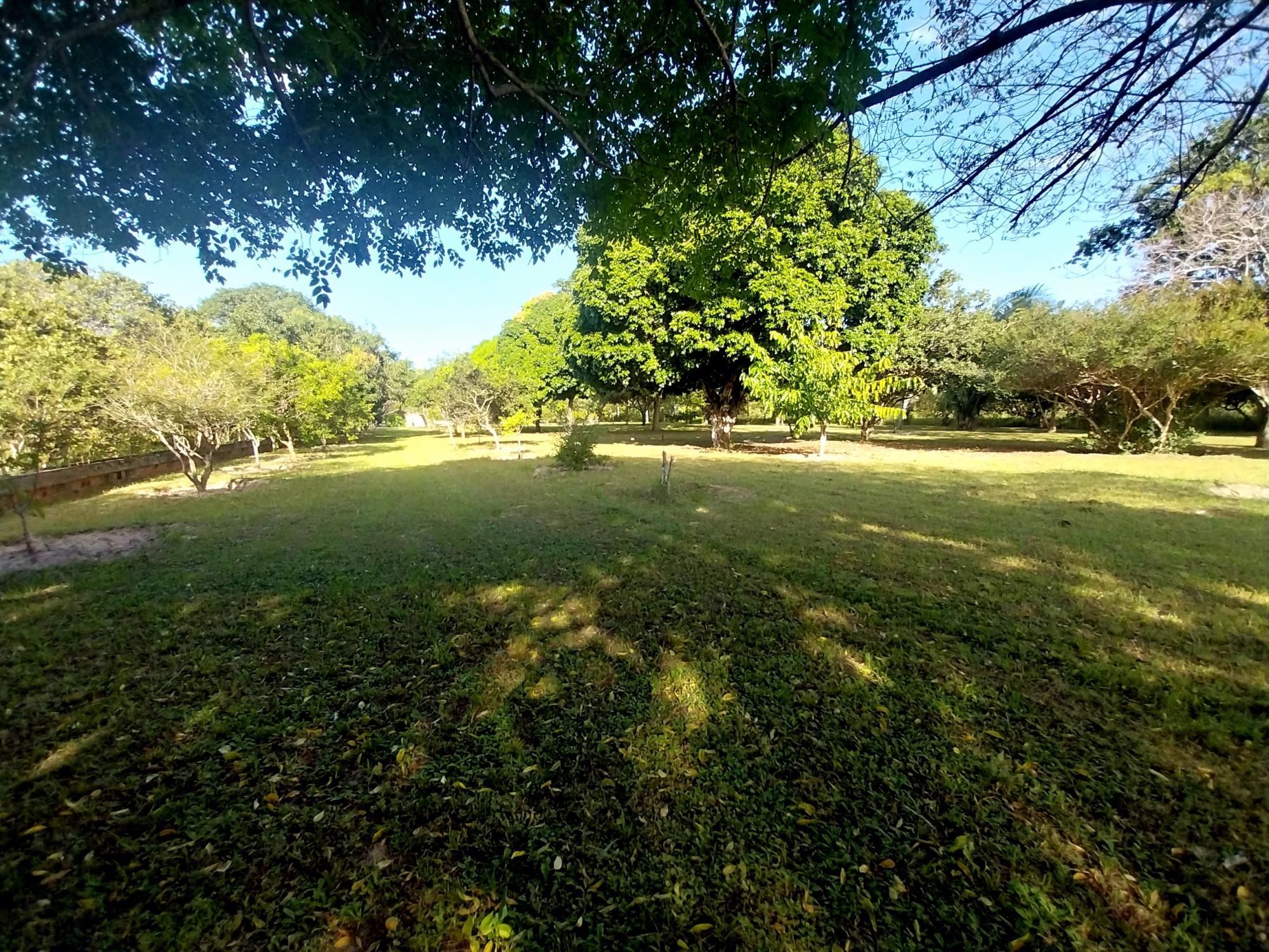 Sítio, 5 quartos, 6 hectares - Foto 44