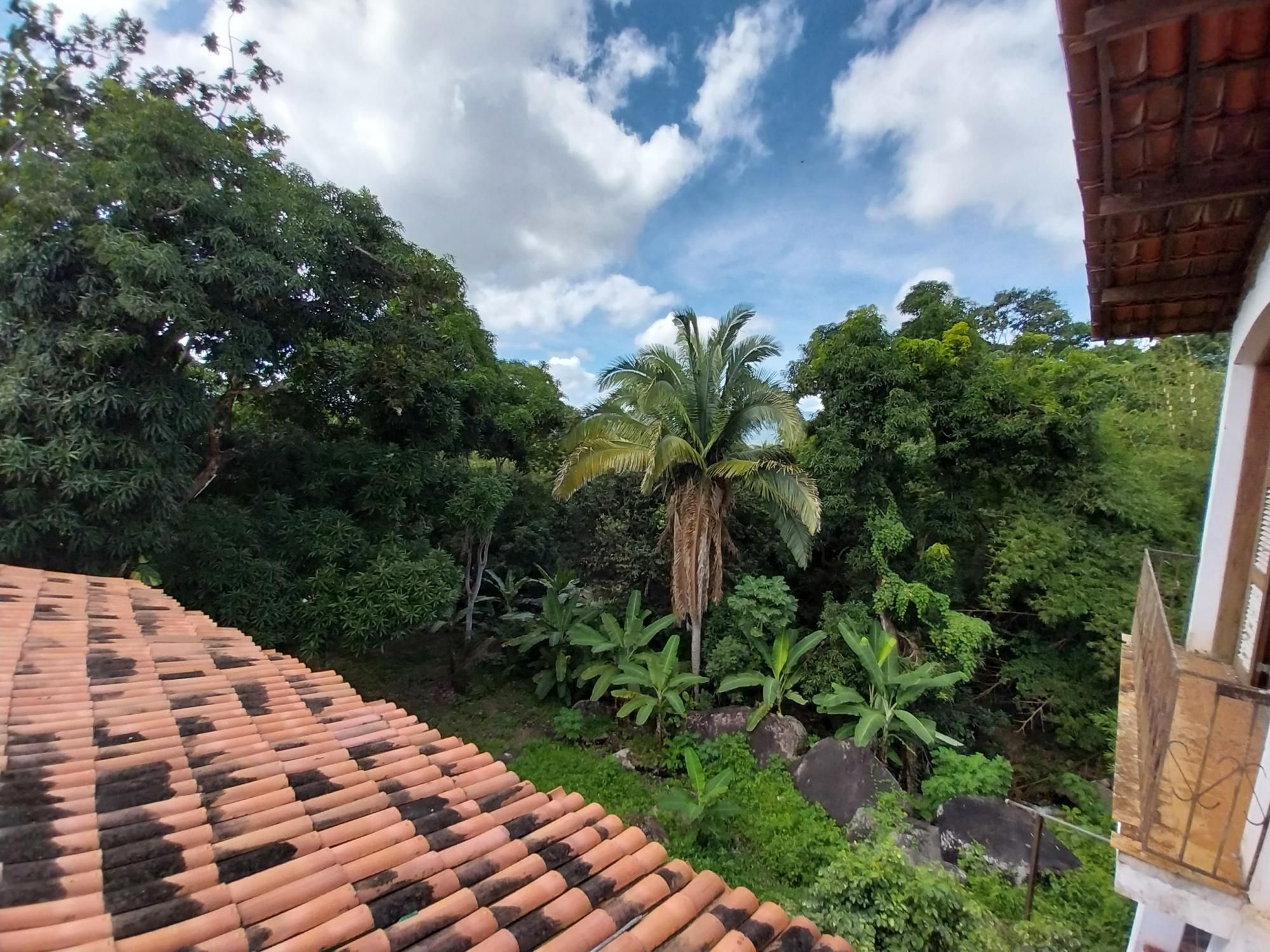 Terreno à venda, 15643m² - Foto 64