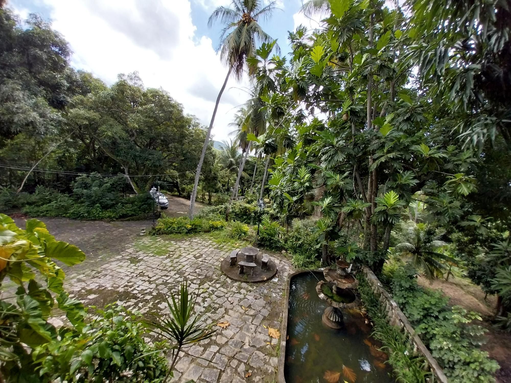 Terreno, 2 hectares - Foto 42