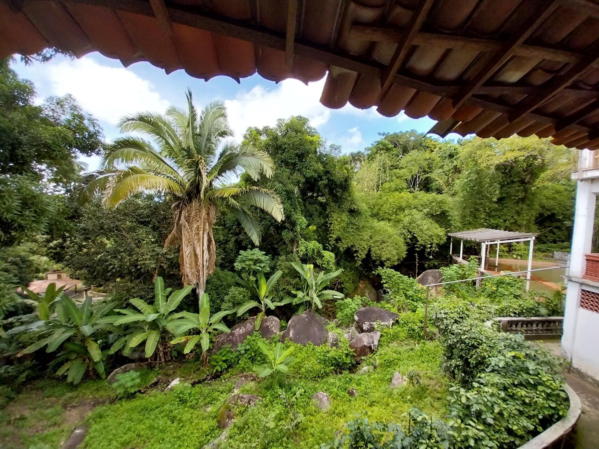 Terreno, 2 hectares - Foto 37