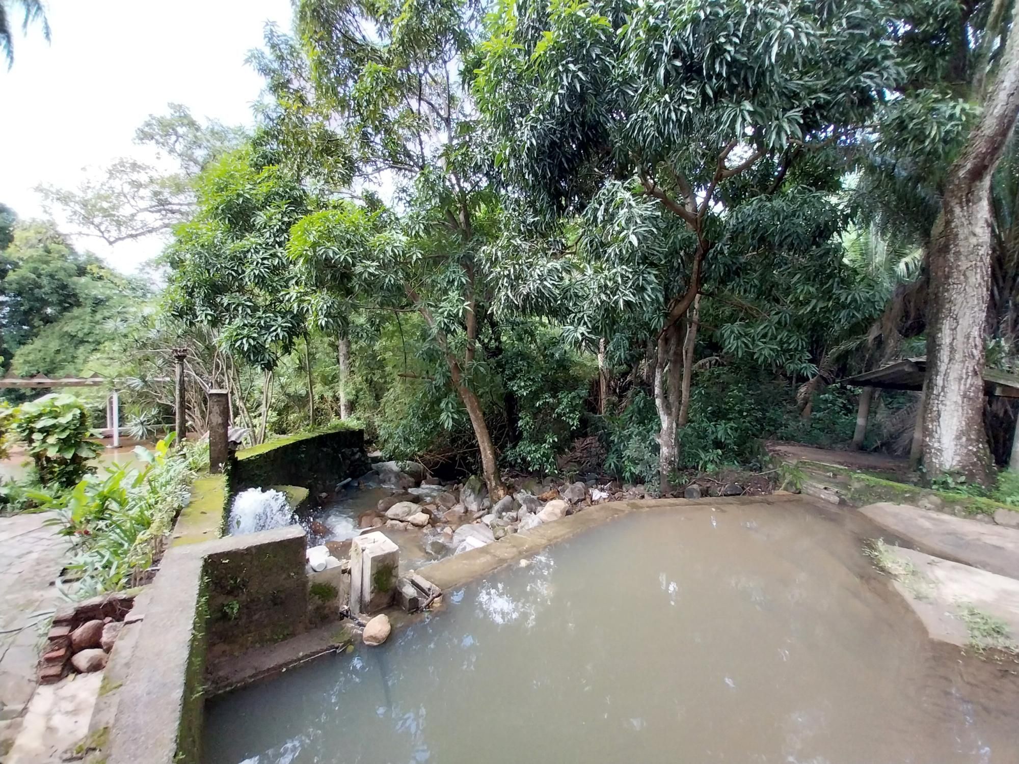 Terreno, 2 hectares - Foto 13