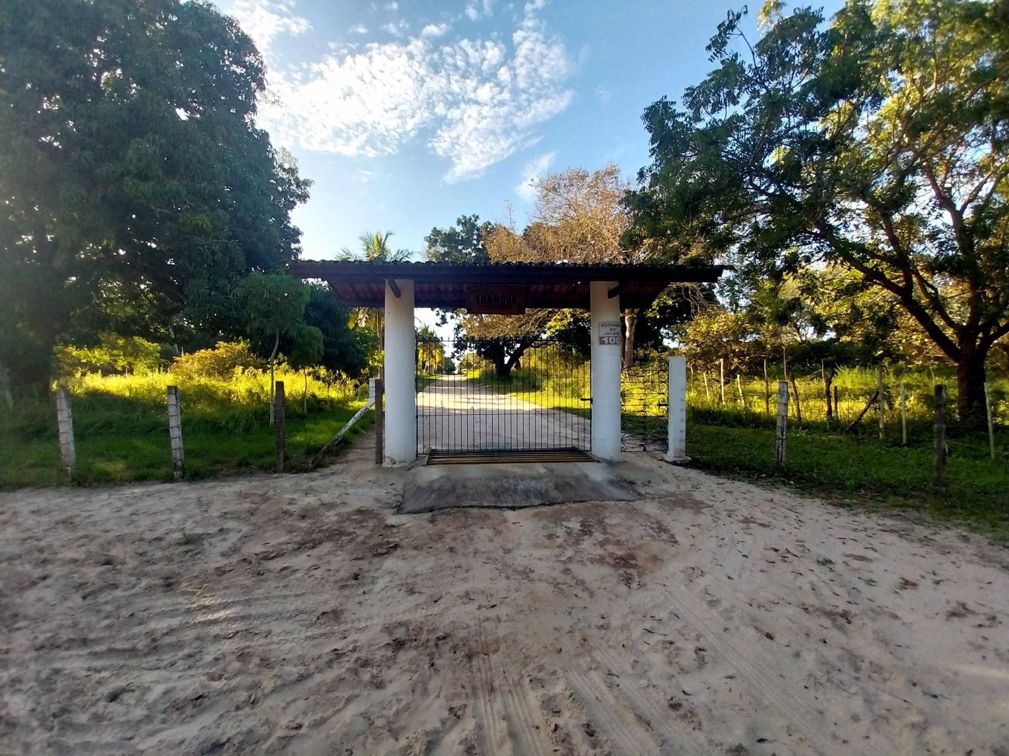 Terreno, 5 hectares - Foto 6