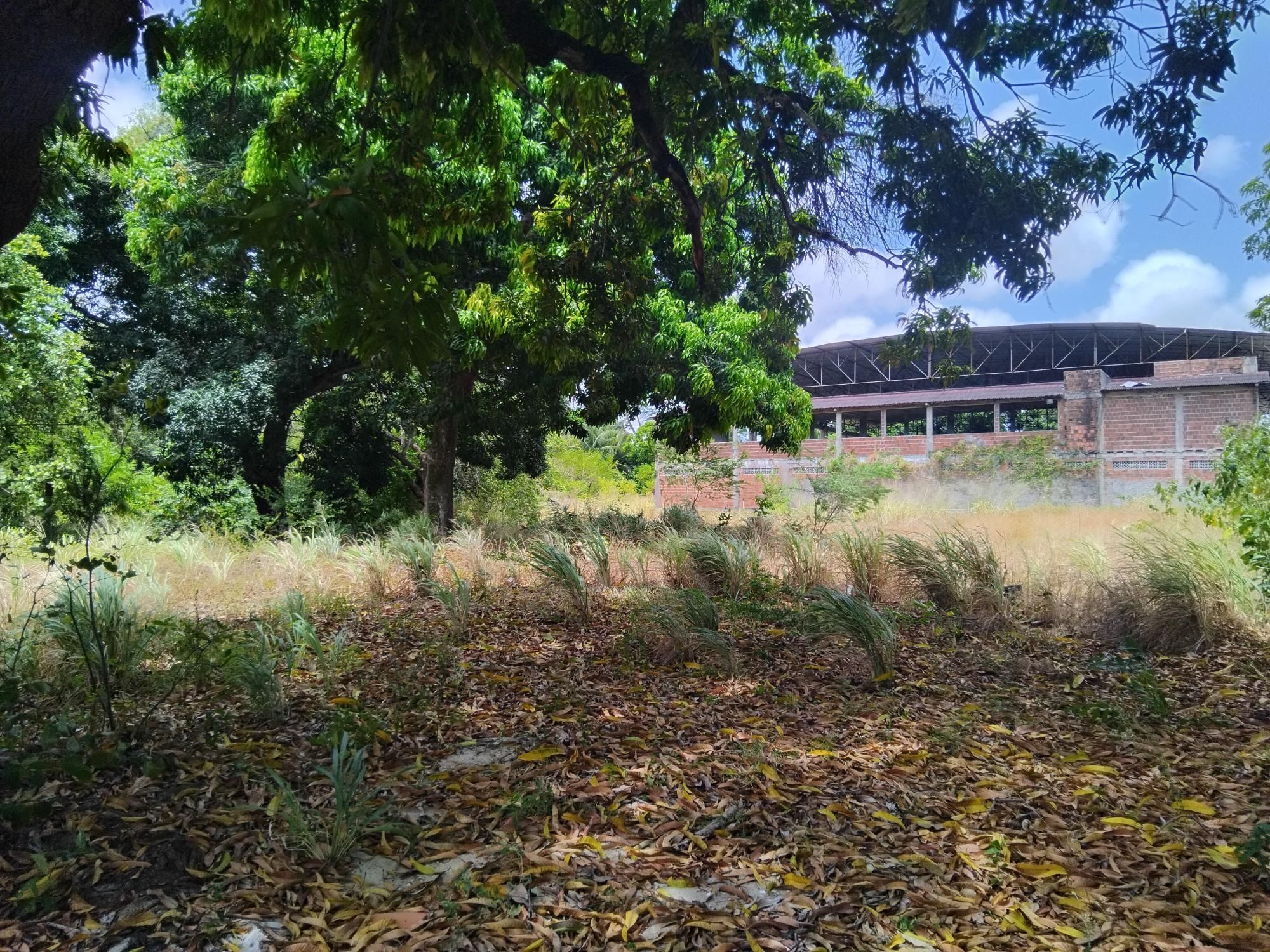 Terreno, 4 hectares - Foto 11