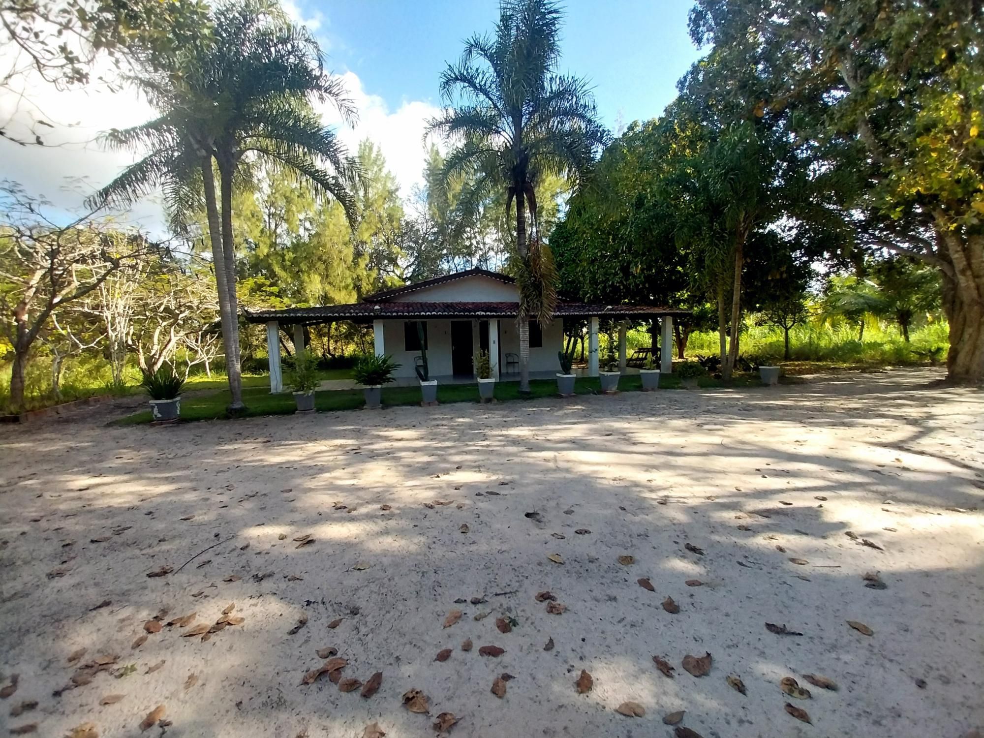 Sítio, 5 quartos, 6 hectares - Foto 14