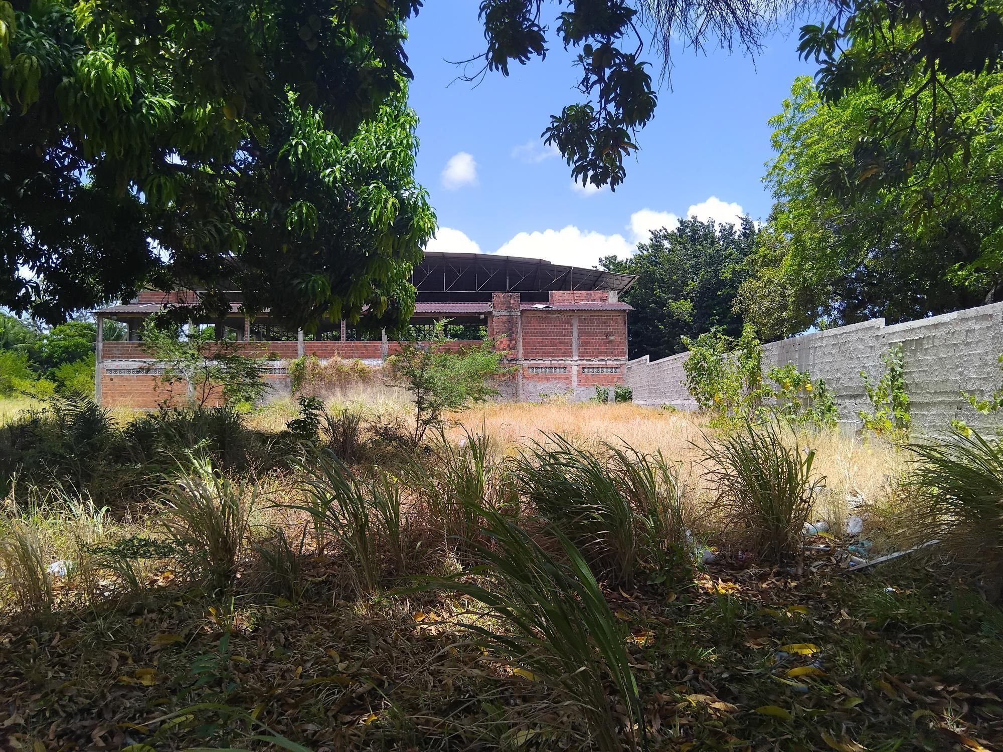 Terreno, 4 hectares - Foto 12