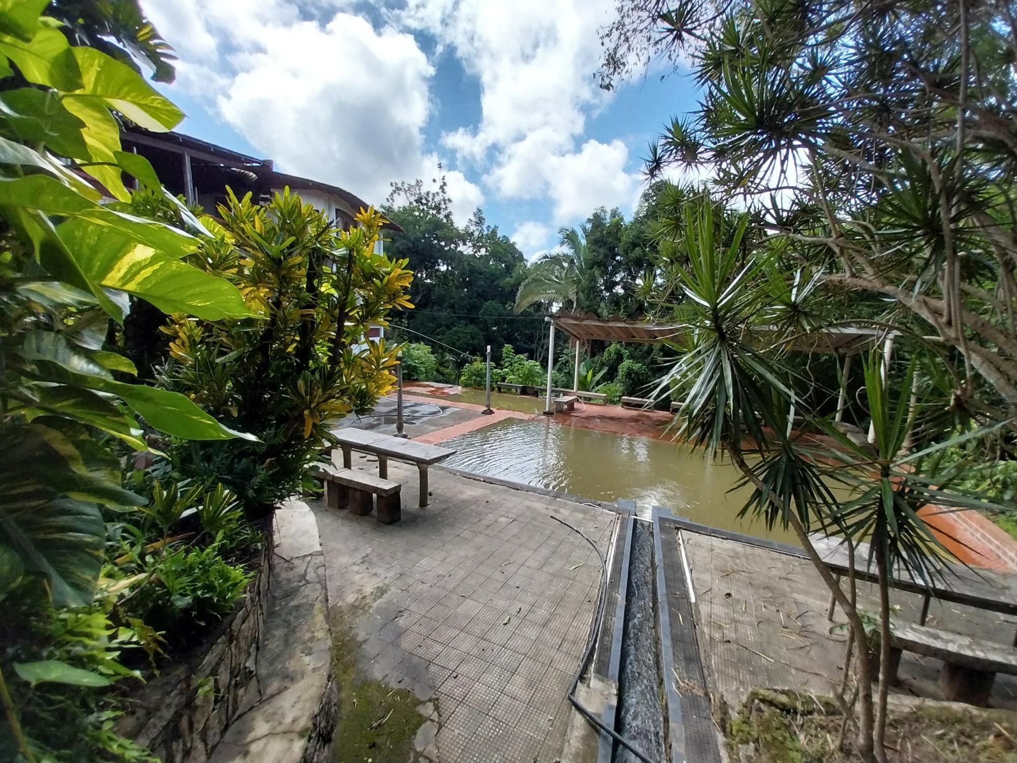 Terreno, 2 hectares - Foto 19