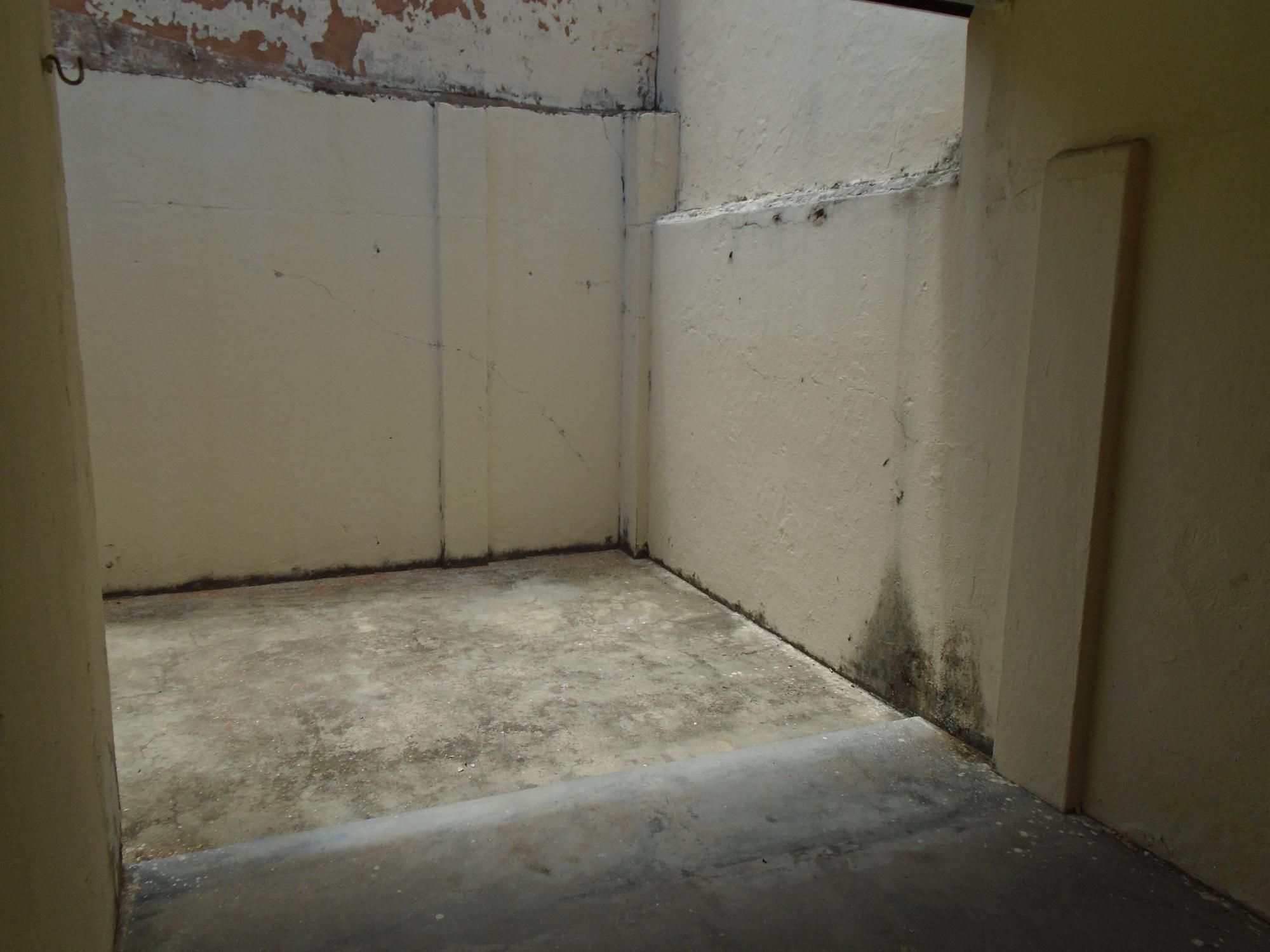 Casa, 4 quartos, 393 m² - Foto 49