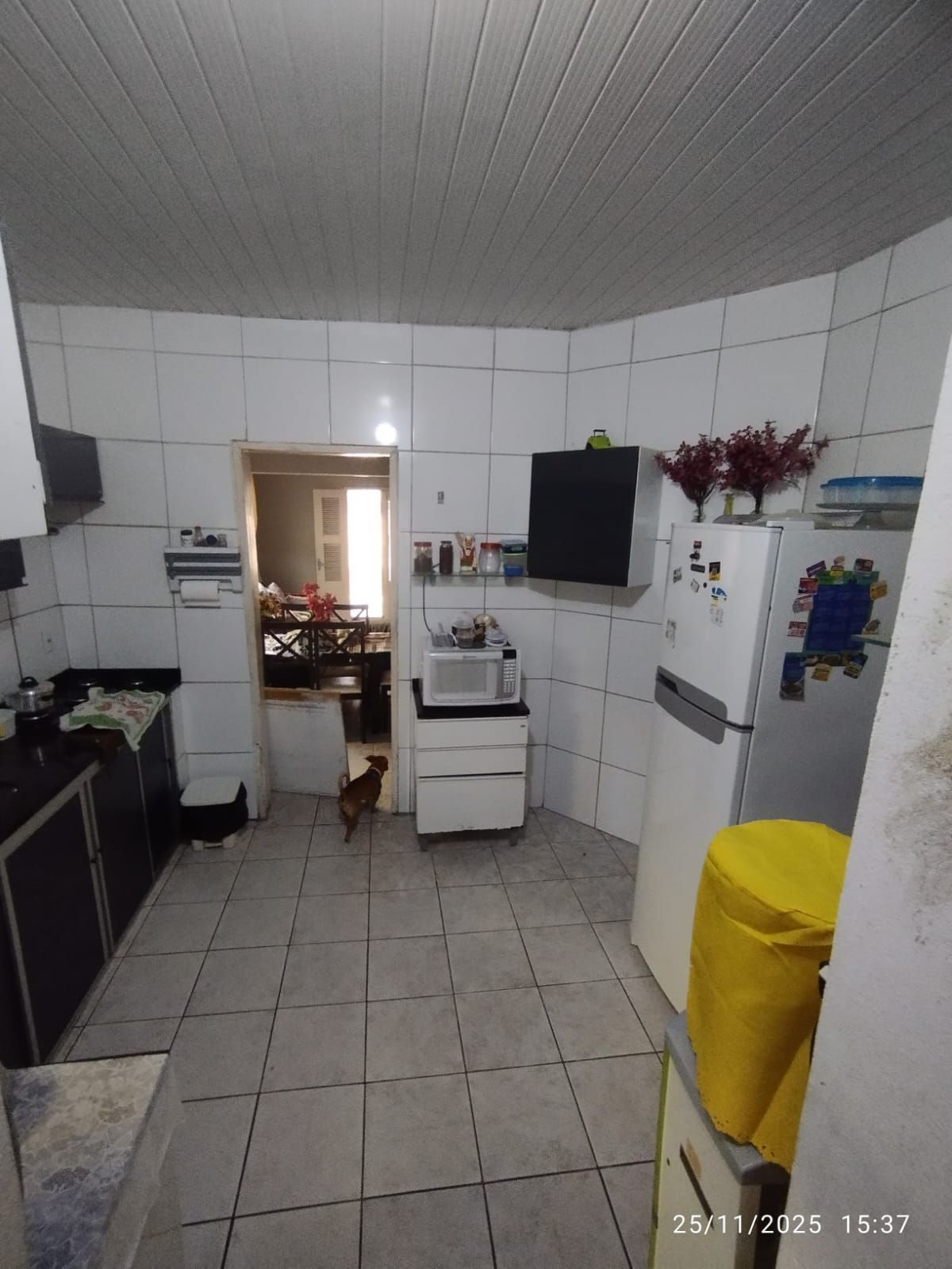 Casa, 4 quartos, 195 m² - Foto 32