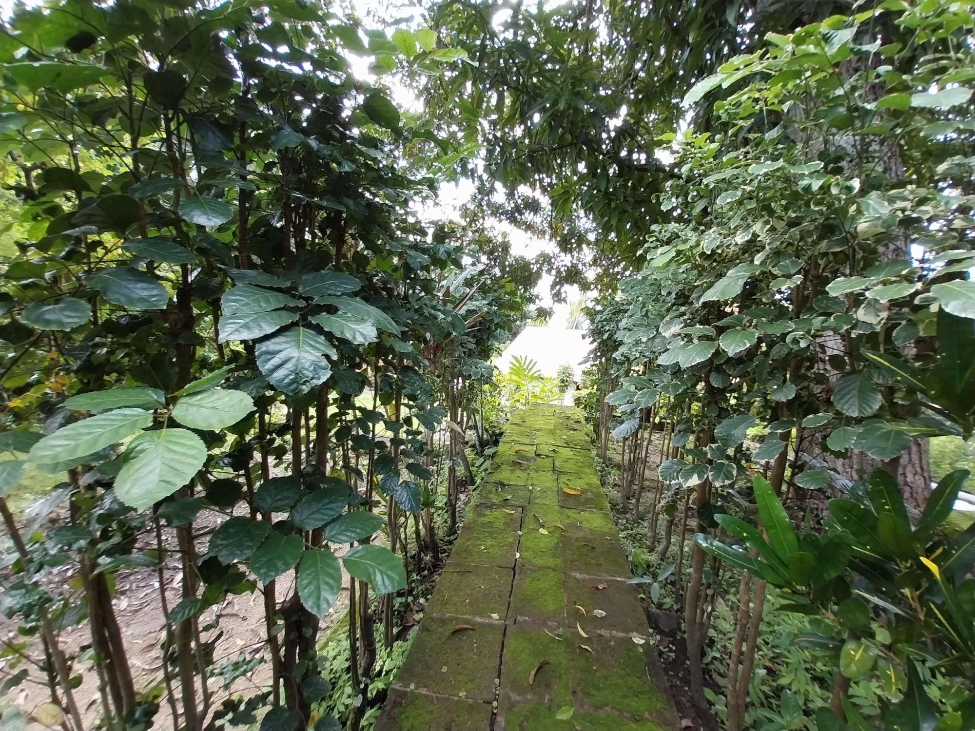 Terreno, 2 hectares - Foto 73