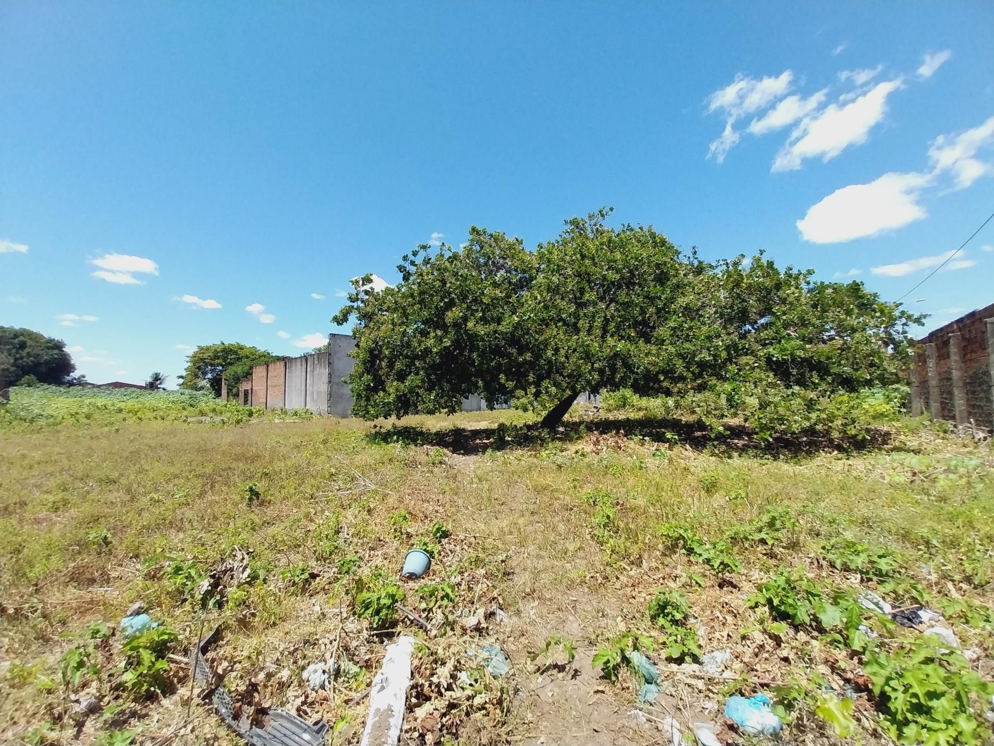 Terreno, 7260 m² - Foto 9