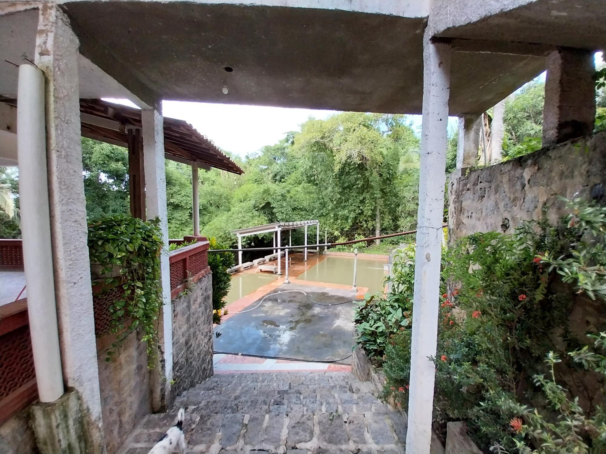 Terreno, 2 hectares - Foto 31