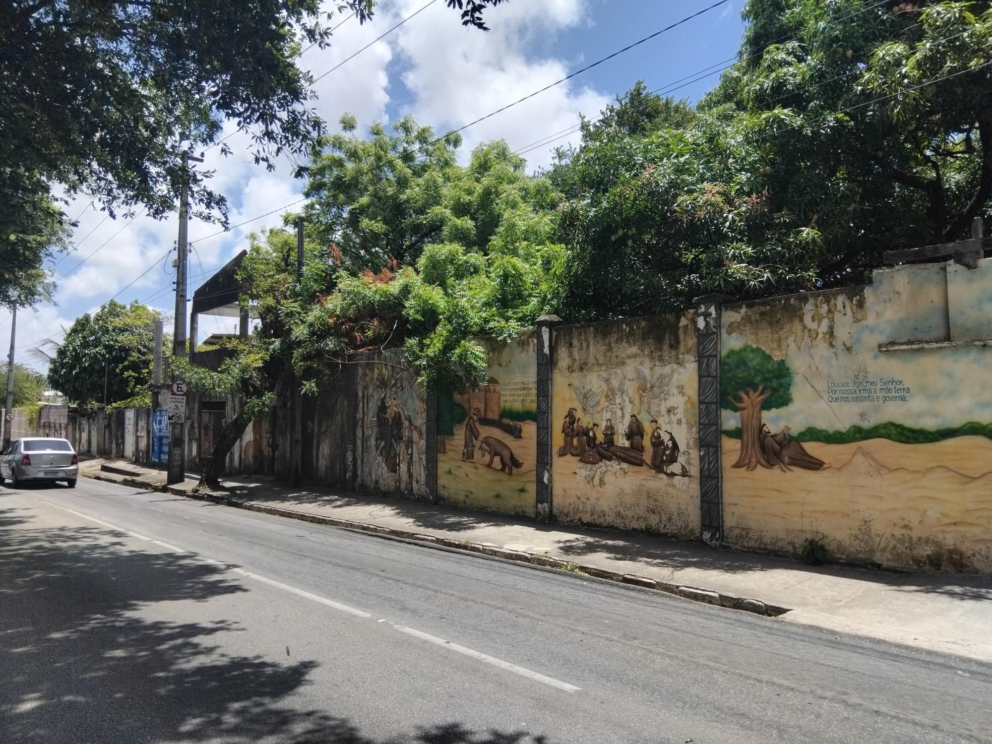 Terreno, 4 hectares - Foto 6