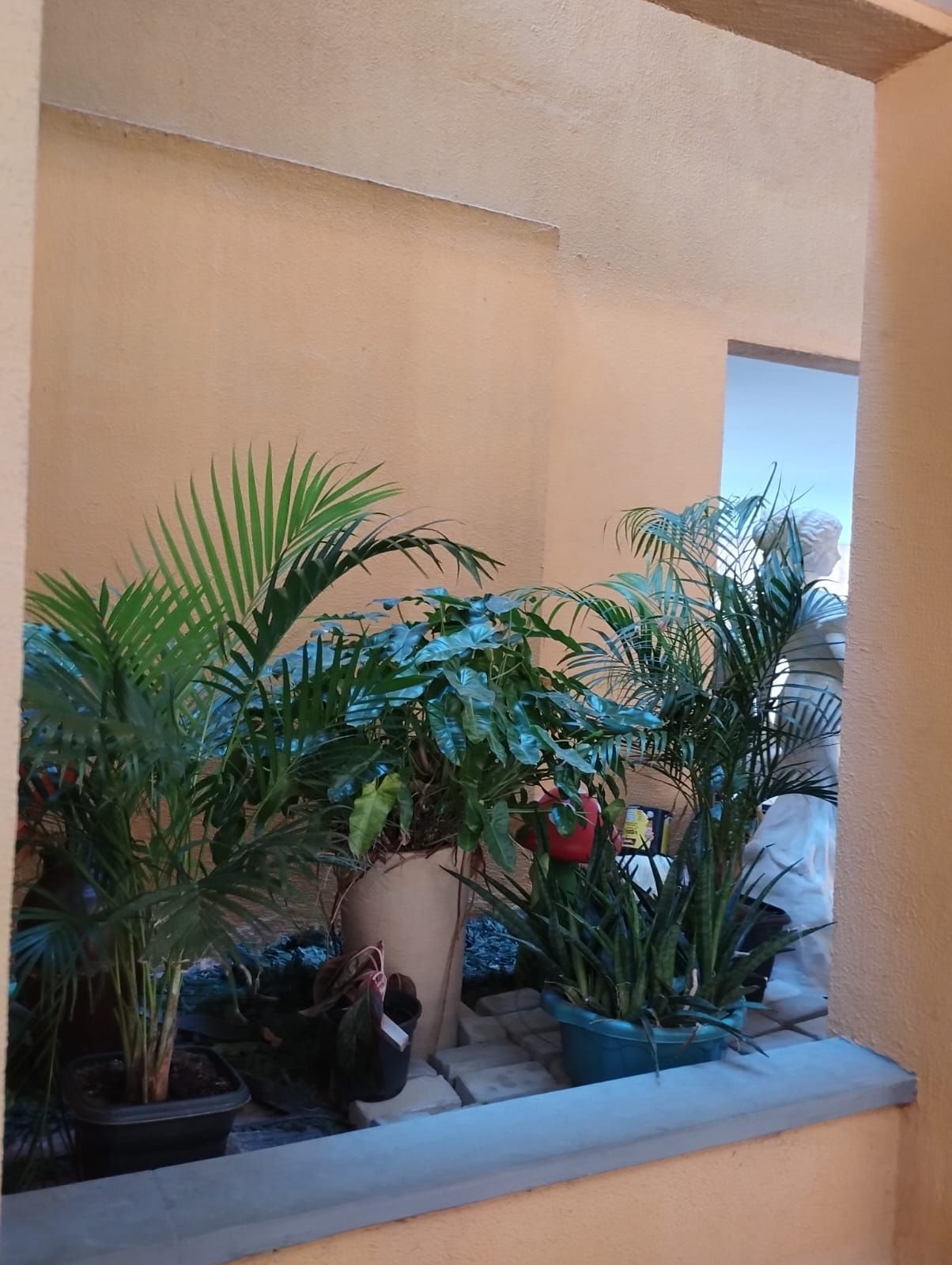 Apartamento, 3 quartos, 77 m² - Foto 69