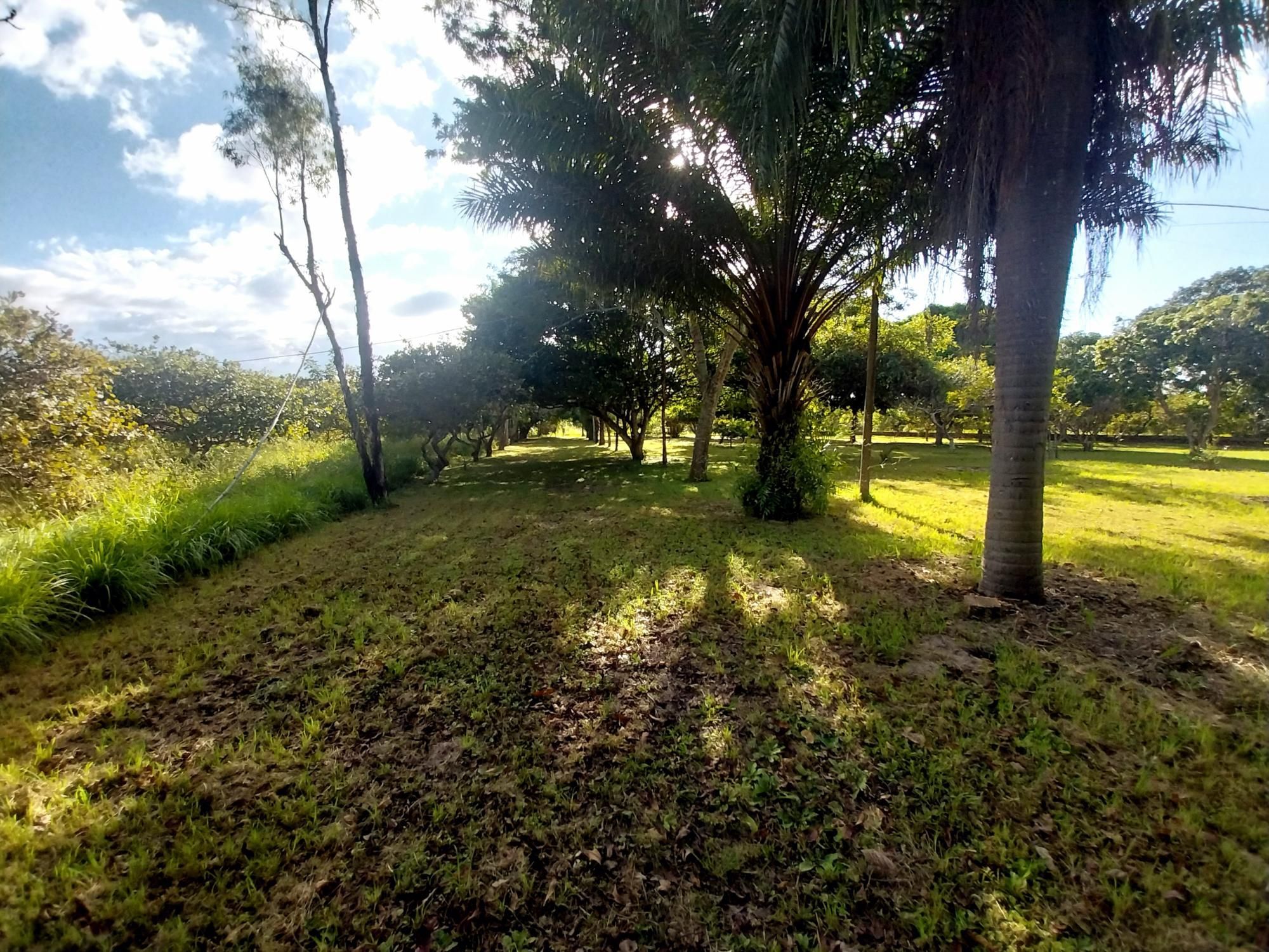 Sítio, 5 quartos, 6 hectares - Foto 42