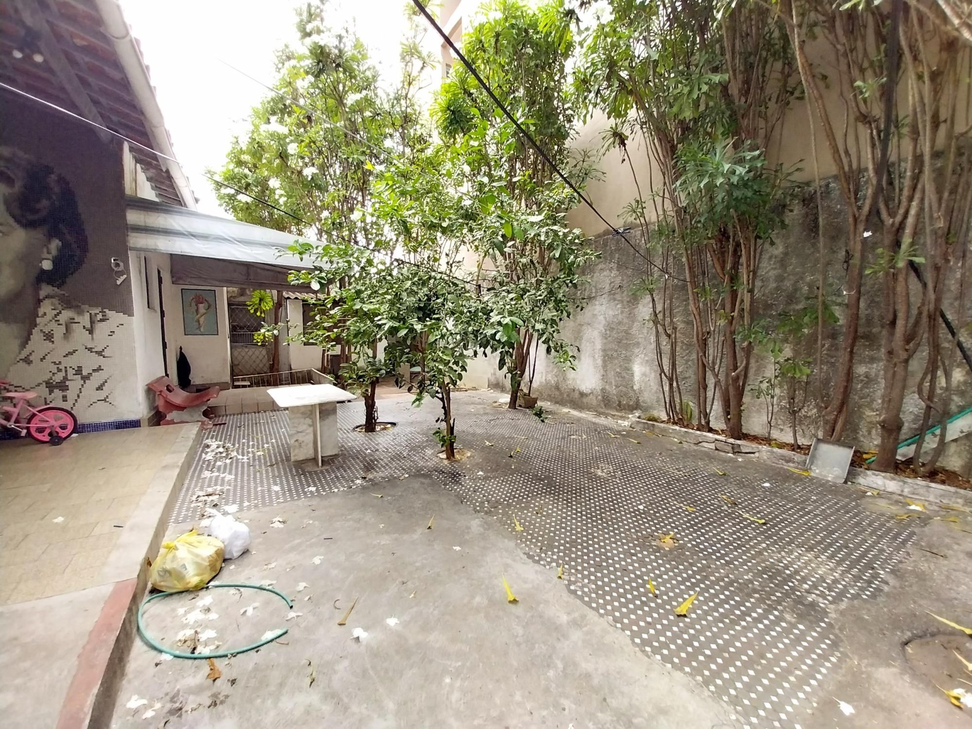 Casa, 4 quartos, 320 m² - Foto 53