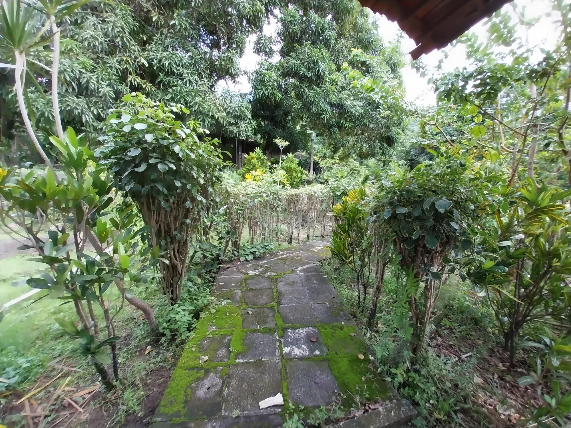 Terreno, 2 hectares - Foto 67