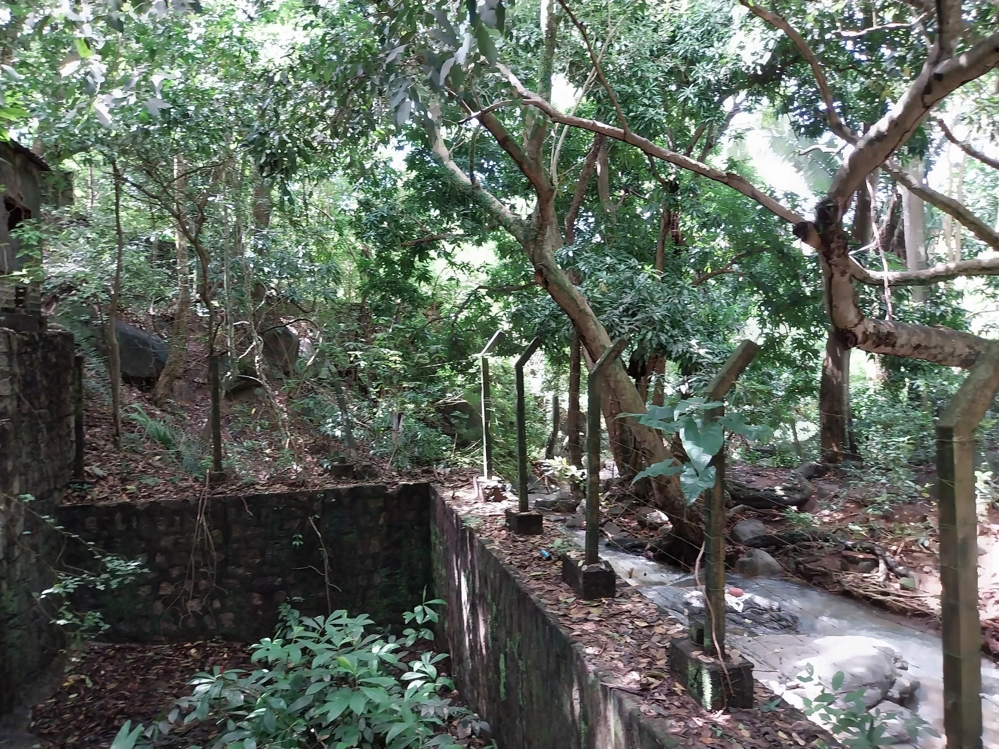 Terreno, 2 hectares - Foto 5