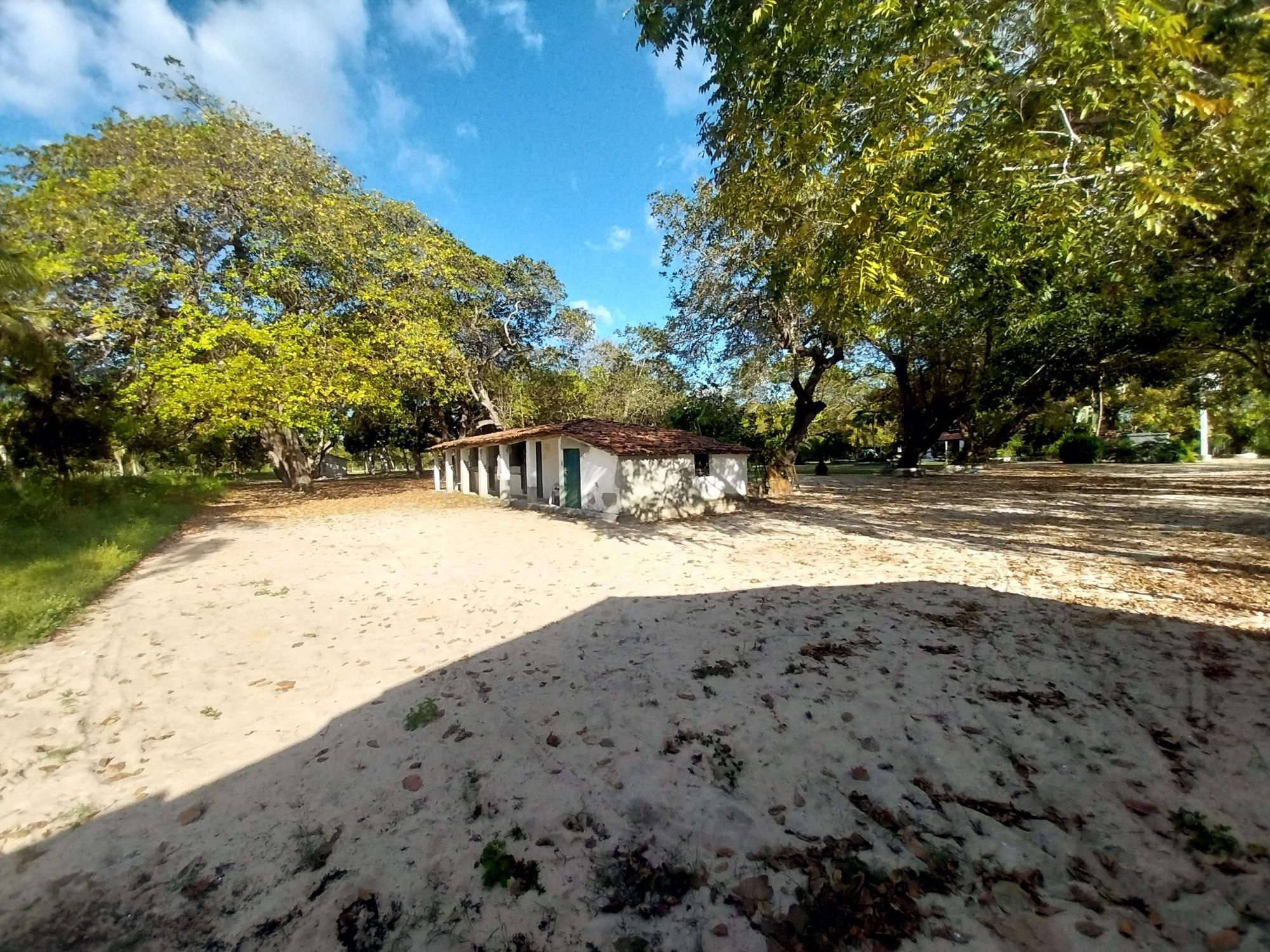 Sítio, 5 quartos, 6 hectares - Foto 32