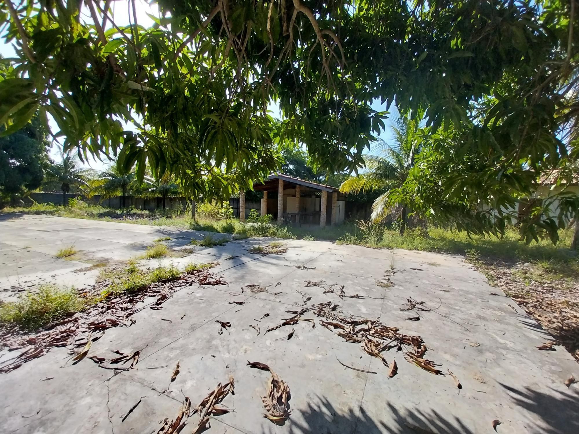 Terreno à venda, 20000m² - Foto 31